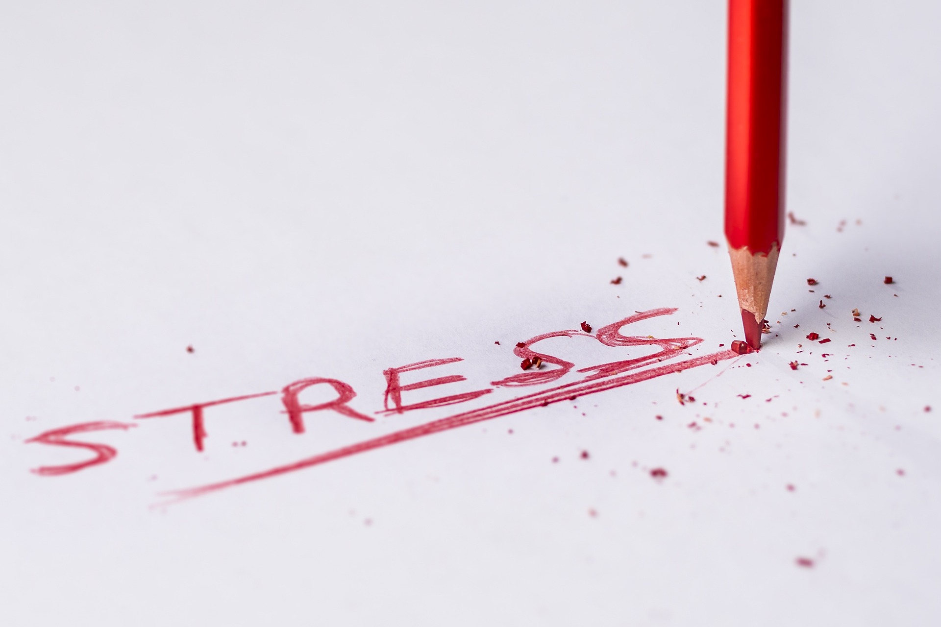 Stress kann sowohl gut als auch schlecht sein für uns.